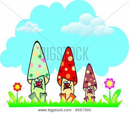 GROUPE DE CHAMPIGNONS