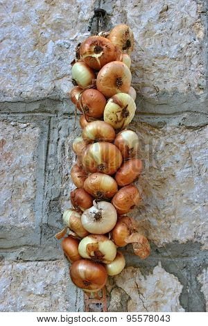 Organic onion braid