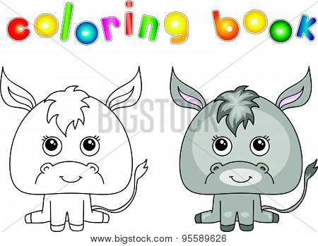 Funny And Cute Donkey