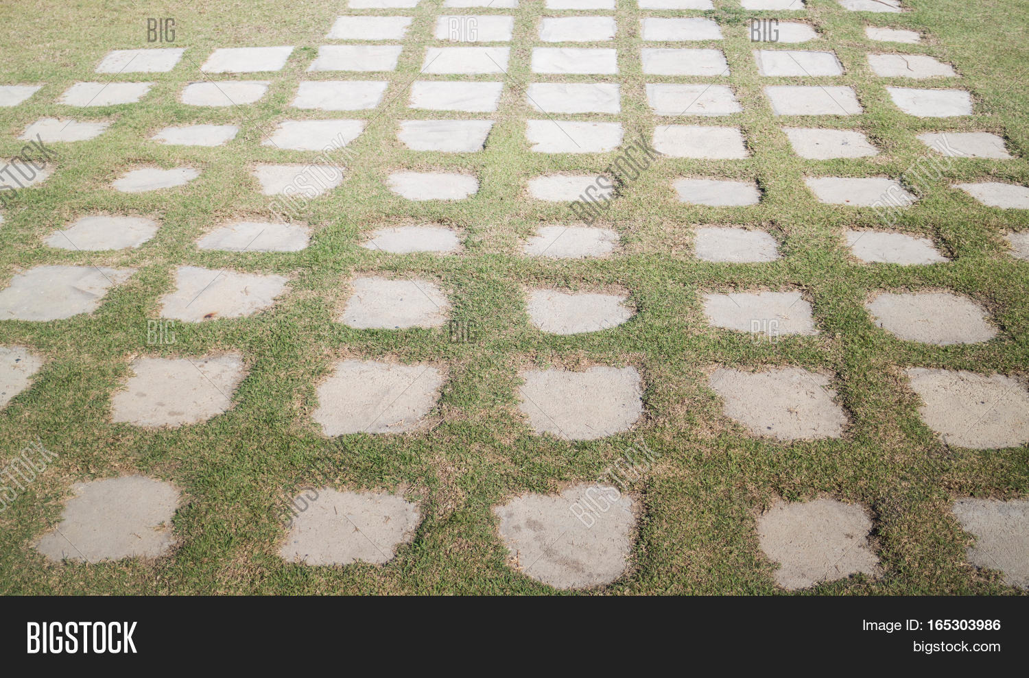 Concrete Floor Green Image & Photo (Free Trial) Bigstock