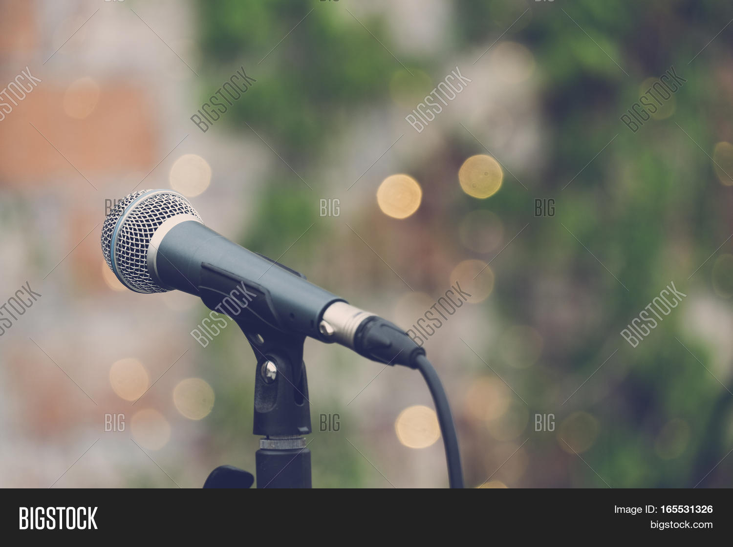 Microphone Outdoor Image & Photo (Free Trial) Bigstock