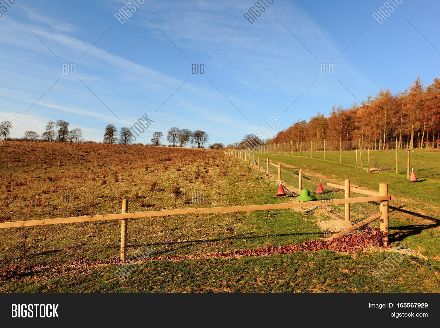 Game Rearing Image & Photo (Free Trial) | Bigstock