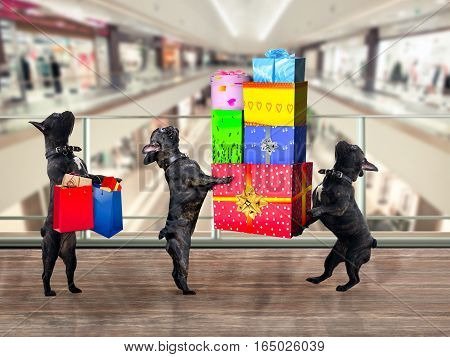 Dogs in the Mall. Are a lot of gifts and purchases
