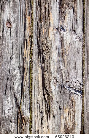 Old wood board in macro for background