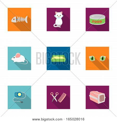 Cat equipment set icons in flat style. Big collection of cat equipment vector symbol stock