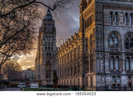 London, UK - January 30, 2016: The fron facede of the british Natural History Museum at sunset as seen from the exhibition road
