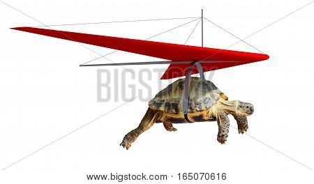 Funny turtle flying on hang-glider isolated on white