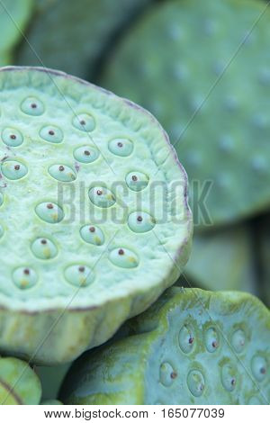 Thailand Isan Udon Thani Lotus Food Fegetable