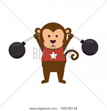 funny monkey circus icon vector illustration design