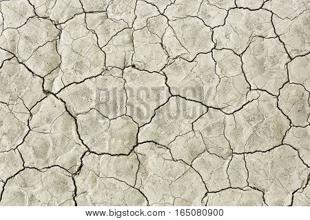 Close Up Of Cracked Mud In Neutral Light, Ideal For Textures