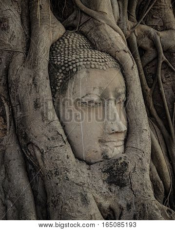 Buddha