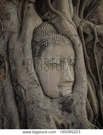 Buddha