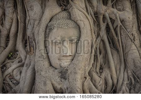 Buddha