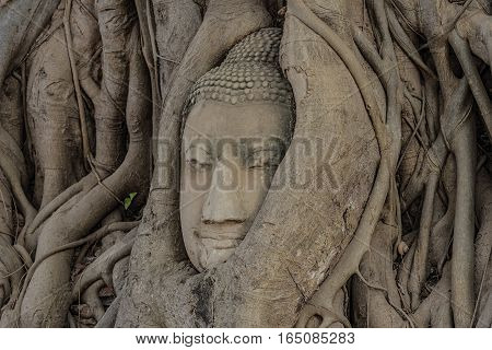 Buddha
