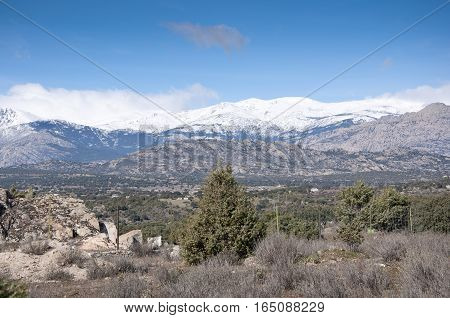 Mediterranean vegetation at Guadarrama Mountains, Madrid, Spain. It is a mountain range forming the main eastern section of the Sistema Central the system of mountain ranges at the centre of the Iberian Peninsula