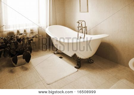 Bagno con un bel bagno e un impianto di casa