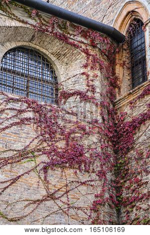 Monza (Brianza Lombardy Italy): historic building along via Lambro