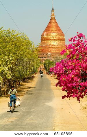 Bagan Myanmar - 24 January 2010: People on the street in front of Dhammayazika pagoda at the archaeological site of Bagan on Myanmar