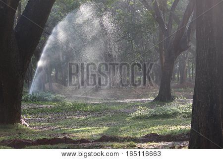 Drizzling water sprinkling at park in the evening