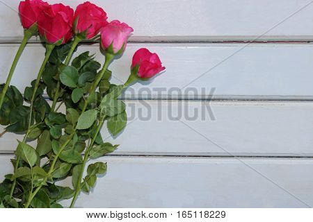 Top view of roses on white wooden board with copy space background for valentines day concept.