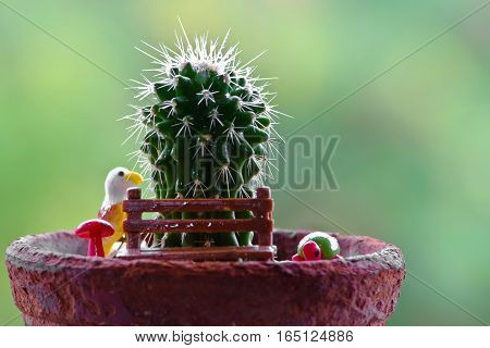 cactus with condensation on the background of nature.