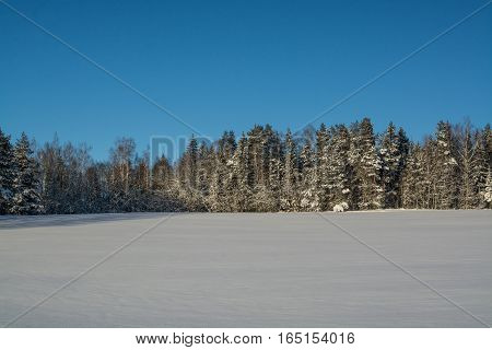 winter landscape. Sunny day. Winter decline. The bright colors. Simple landscape. Winter forest. forest road. winter fild.