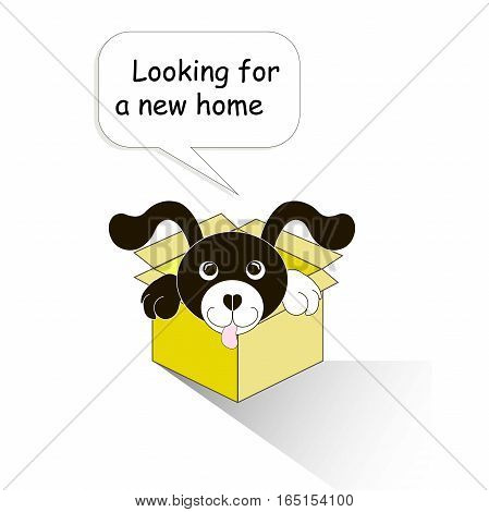 Typography banner Looking for a new home, black and white cartoons dog in the yellow box on white, stock vector illustration