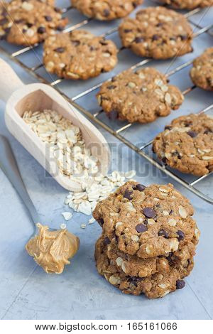 Flourless gluten free peanut butter oatmeal and chocolate chips cookies on cooling rack vertical