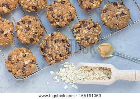 Flourless gluten free peanut butter oatmeal and chocolate chips cookies on parchment top view horizontal