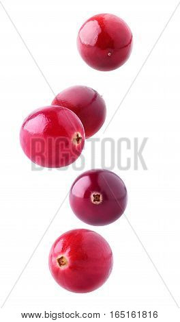 Isolated Cranberries Falling