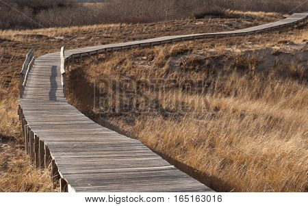 Wooden Walkway thru Sand Dunes on Plum Island