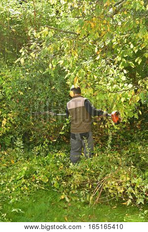 verneuil sur Seine France - november 3 2016 : a pruner in agarden