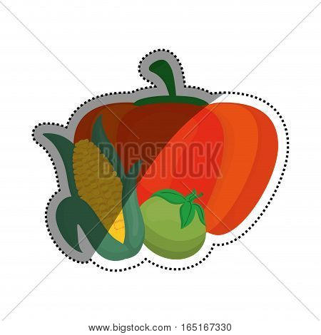 Fresh pumpking, corn and tomato vegetable icon vector illustration graphic design