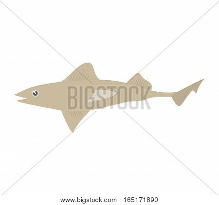 shark fish ocean species world vector illustration eps 10