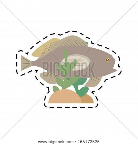 grouper fish side view sea life coral vector illustration eps 10