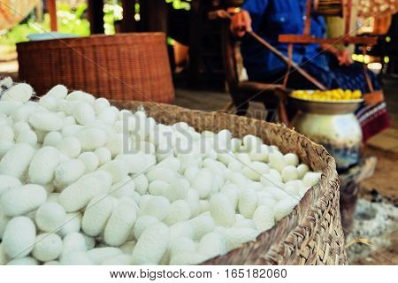 Silkworm Fibers In The Fabric Industry.