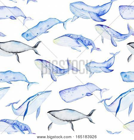 Seamless pattern of hand painted watercolor blue whales in cartoon style. Sea mammal.