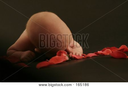 Bebê