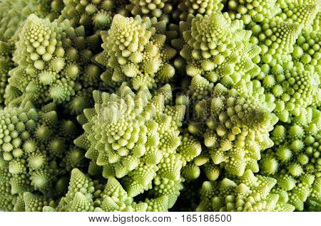 Abstract image formed(trained) by the first plane of a vegetable