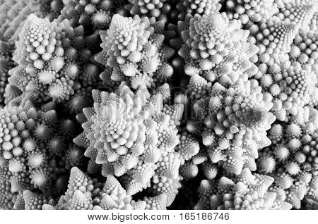 Abstract image formed(trained) by the first plane of a vegetable