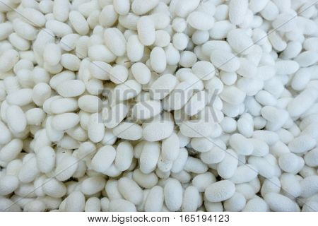 Silkworm Fibers In The Fabric Industry.