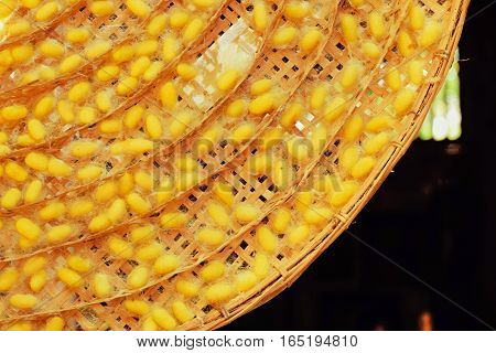 Silkworm Fibers In The Fabric Industry.