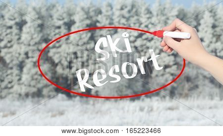 Woman Hand Writing Ski Resort With Marker Over Winter Forest.