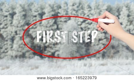 Woman Hand Writing First Step With Marker Over Winter Forest.