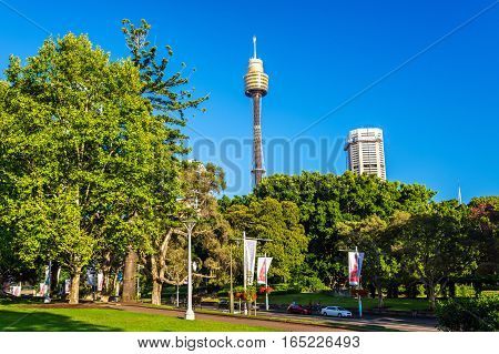 Hyde Park with modern building in the background in Sydney - Australia