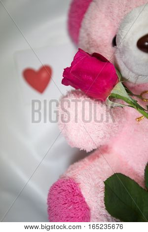 Red roses are the symbol of love.on celebrety