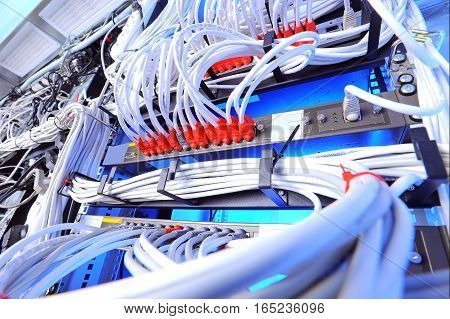 Large group of lilac utp Internet cables in Data Center