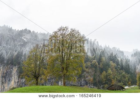 wooden house in Countryside, Switzerland - stock photo