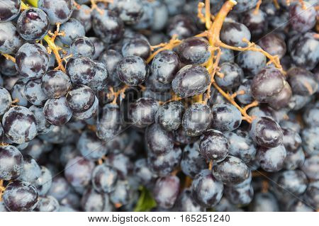 Black wine greape natural fresh fruit background