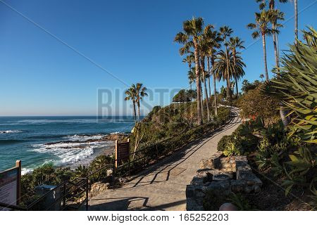 Heisler Park garden along the coast of Laguna Beach, California